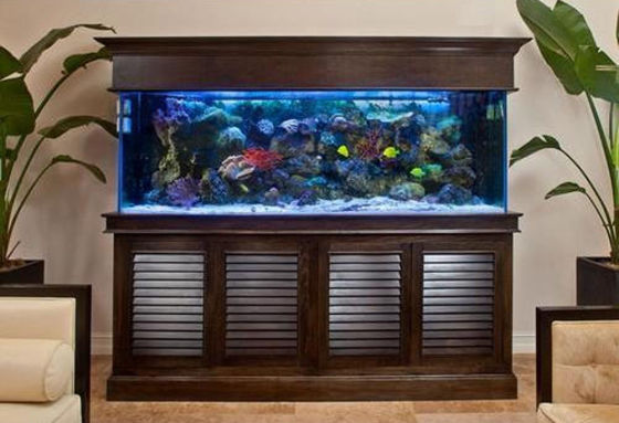 Premium Aquarium Cabinets