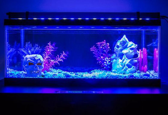 LED light fixture
