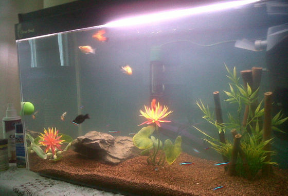 Complete Water filtration solution